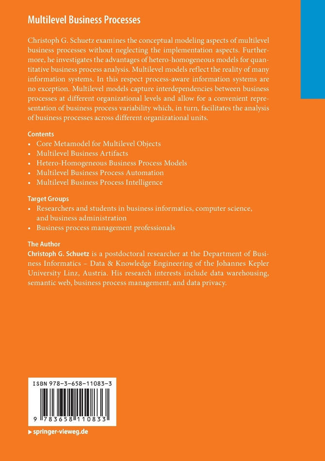 Multilevel Business Processes