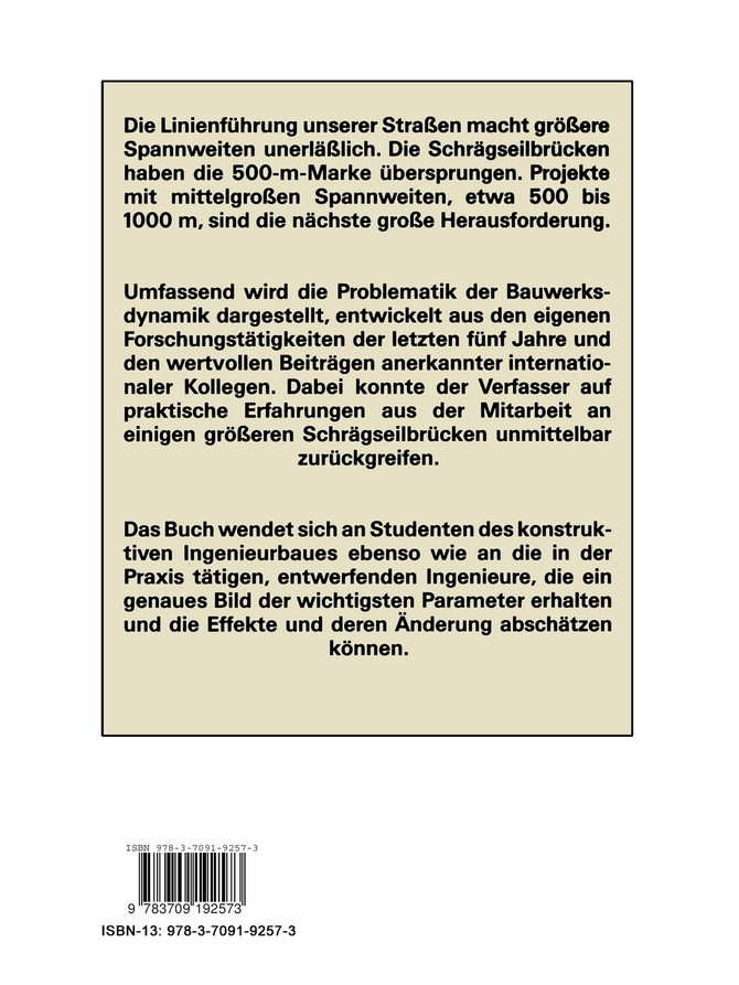 Brückenbausysteme für mittelgroße Spannweiten