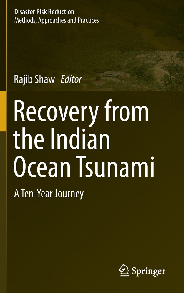 Recovery from the Indian Ocean Tsunami