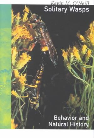 Solitary Wasps
