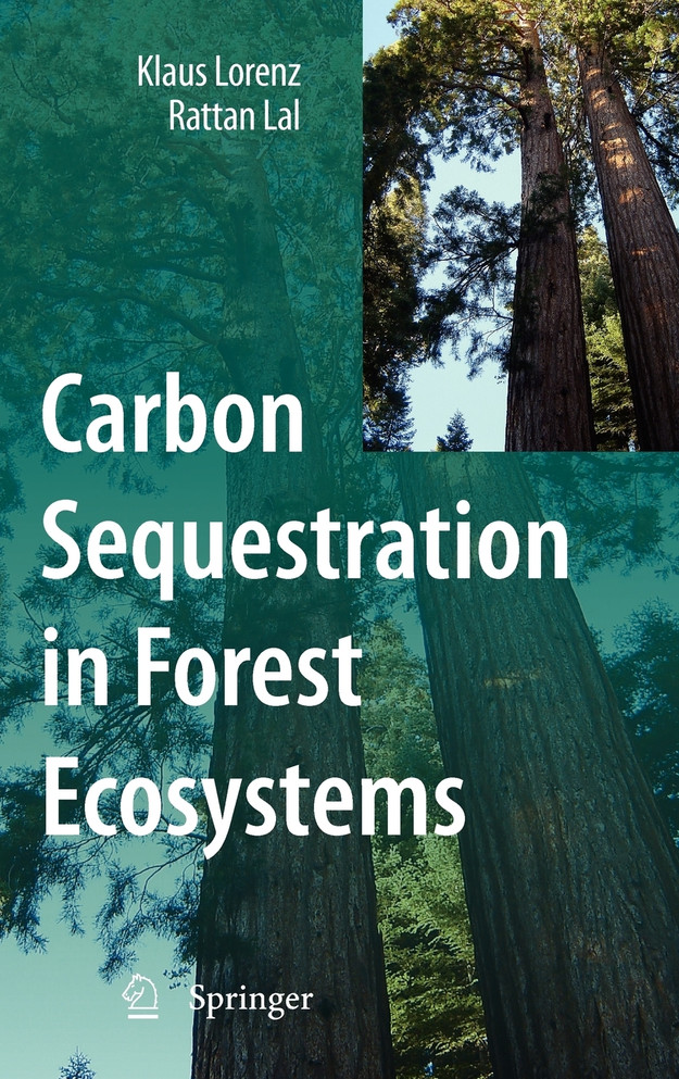 Carbon Sequestration in Forest Ecosystems