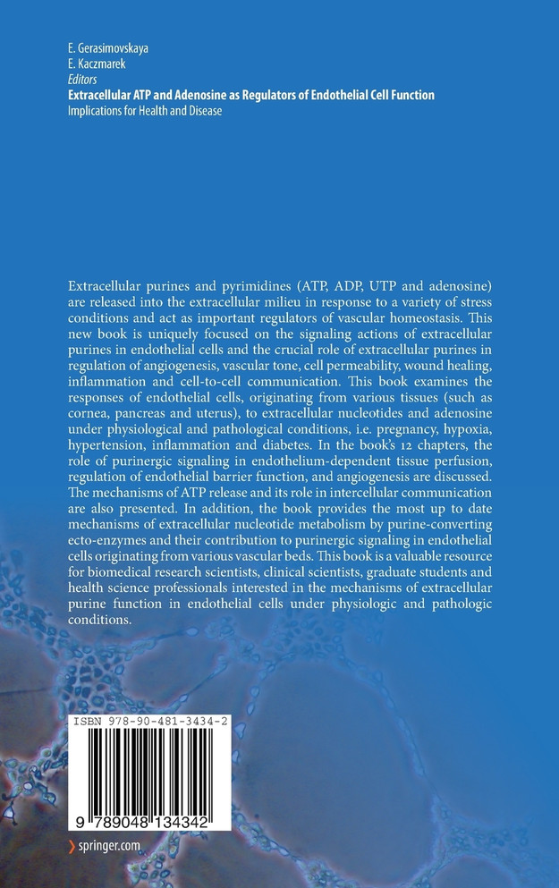 Extracellular ATP and adenosine as regulators of endothelial cell function