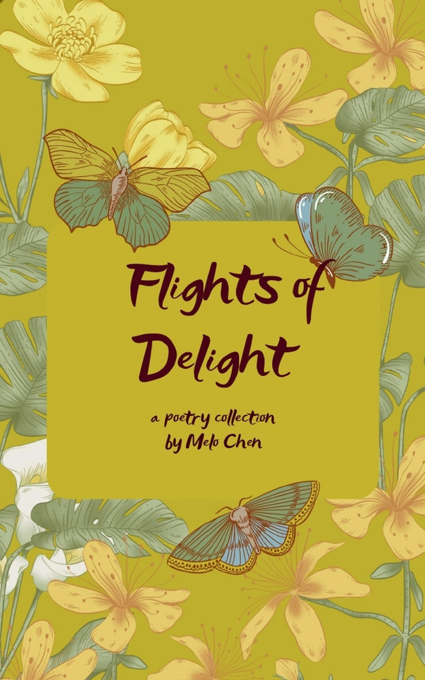 Flights of Delight Fragments of Life As A Daily Oracle