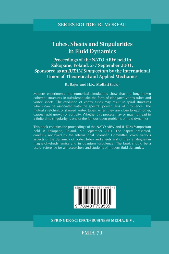 Tubes, Sheets and Singularities in Fluid Dynamics