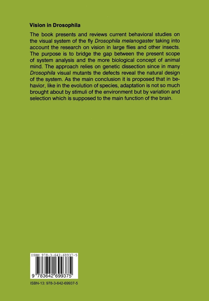 Vision in Drosophila
