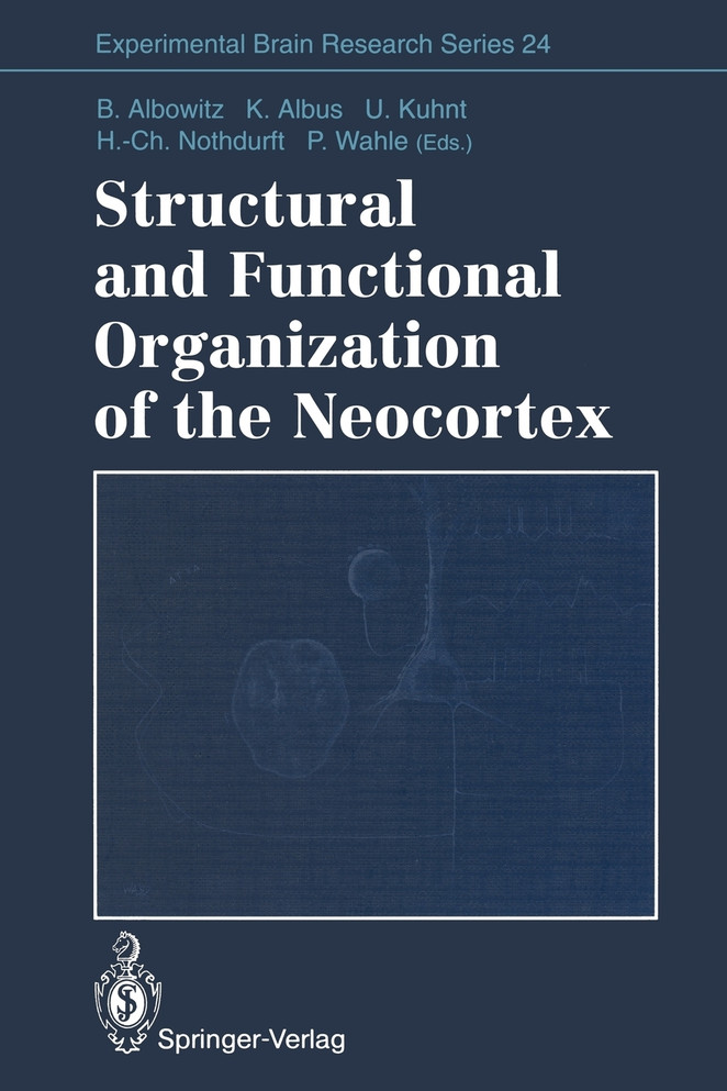 Structural and Functional Organization of the Neocortex