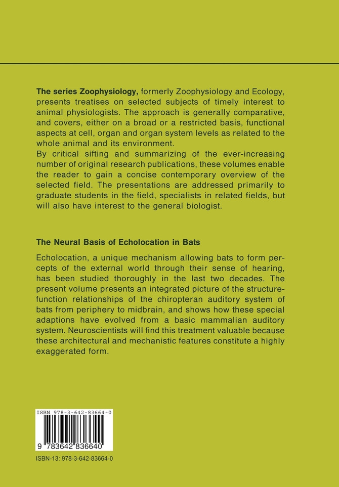 The Neural Basis of Echolocation in Bats