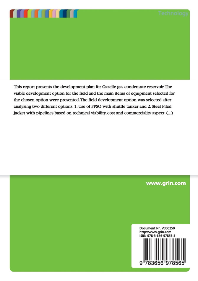 Field Development Programme for Holly Field
