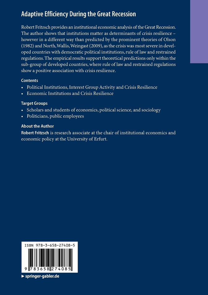 Adaptive Efficiency During the Great Recession