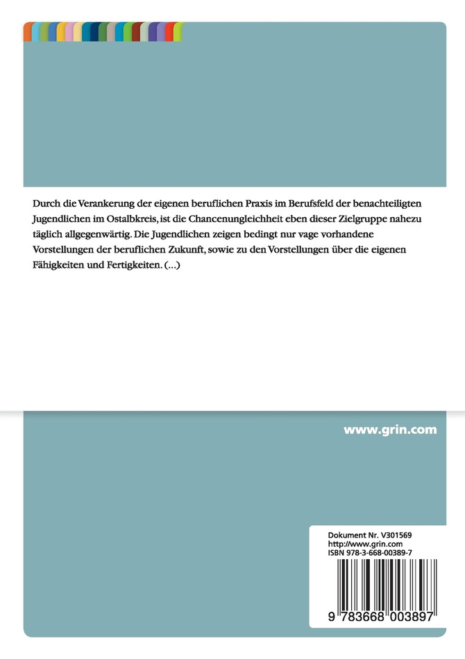 Die Förderung der beruflichen Integration benachteiligter Jugendlicher in der Sonderberufsfachschule. Exposé zur Masterarbeit