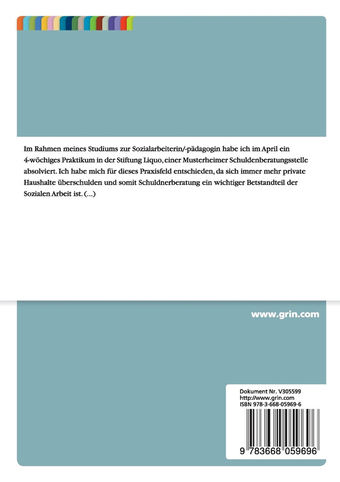 Schuldnerberatung in der Sozialen Arbeit. Ein Praxisbericht