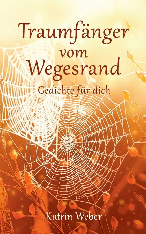 Traumfänger vom Wegesrand
