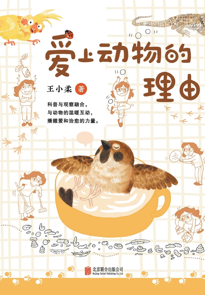 爱上动物的理由 Reasons To Love Animals