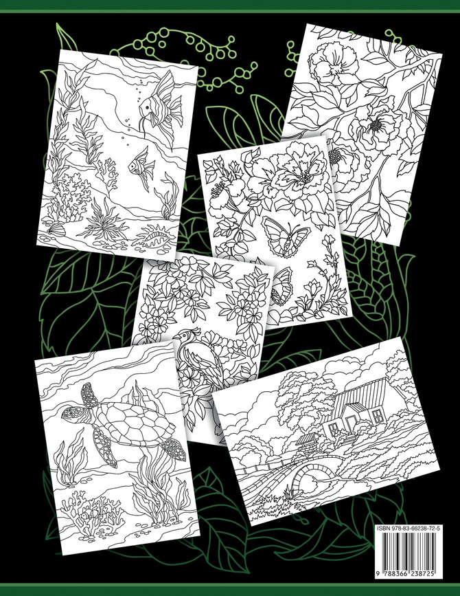 Livre de coloriage pour adulte Volume 6