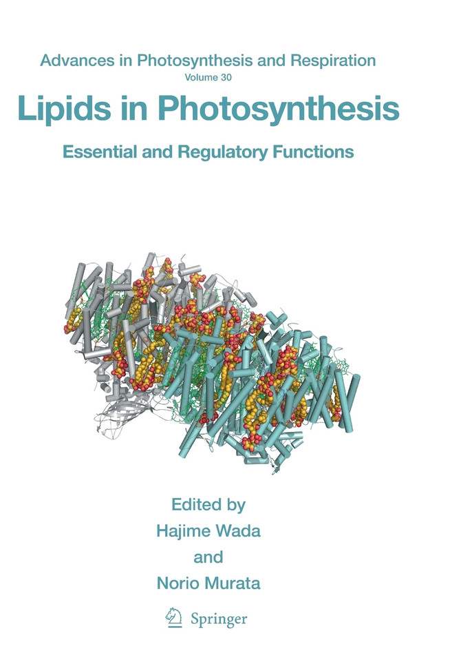 Lipids in Photosynthesis