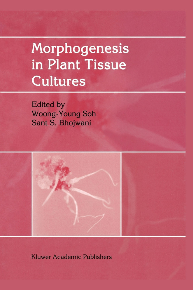 Morphogenesis in Plant Tissue Cultures