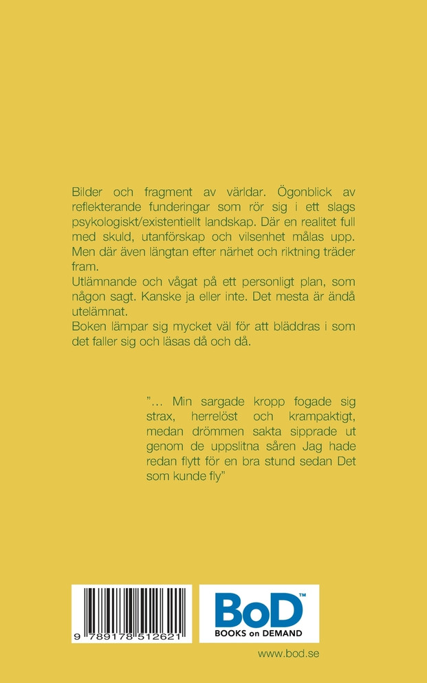 Bara Tankar II