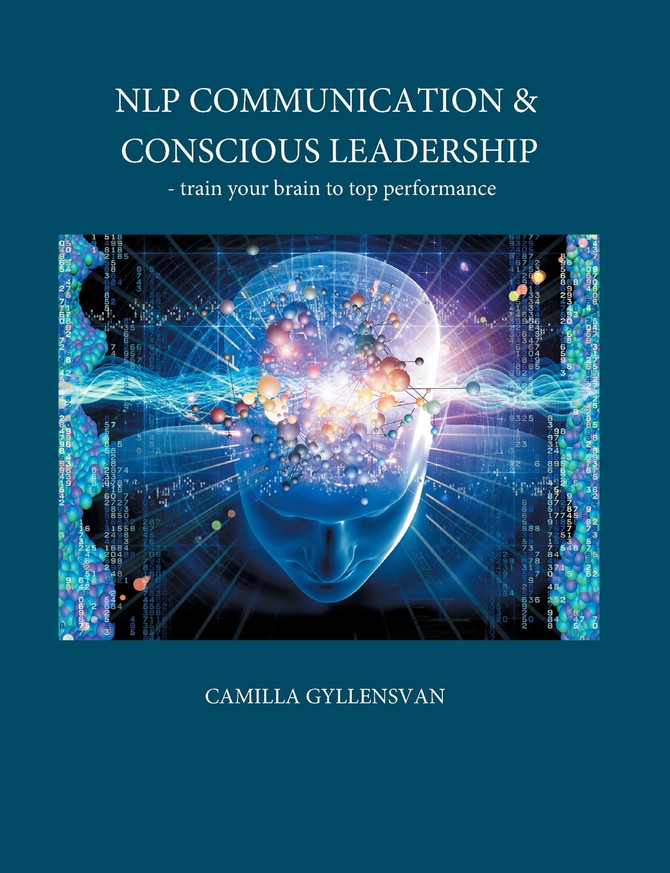 NLP Communication & conscious leadership
