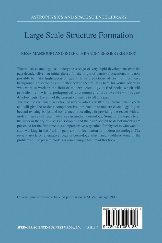 Large Scale Structure Formation