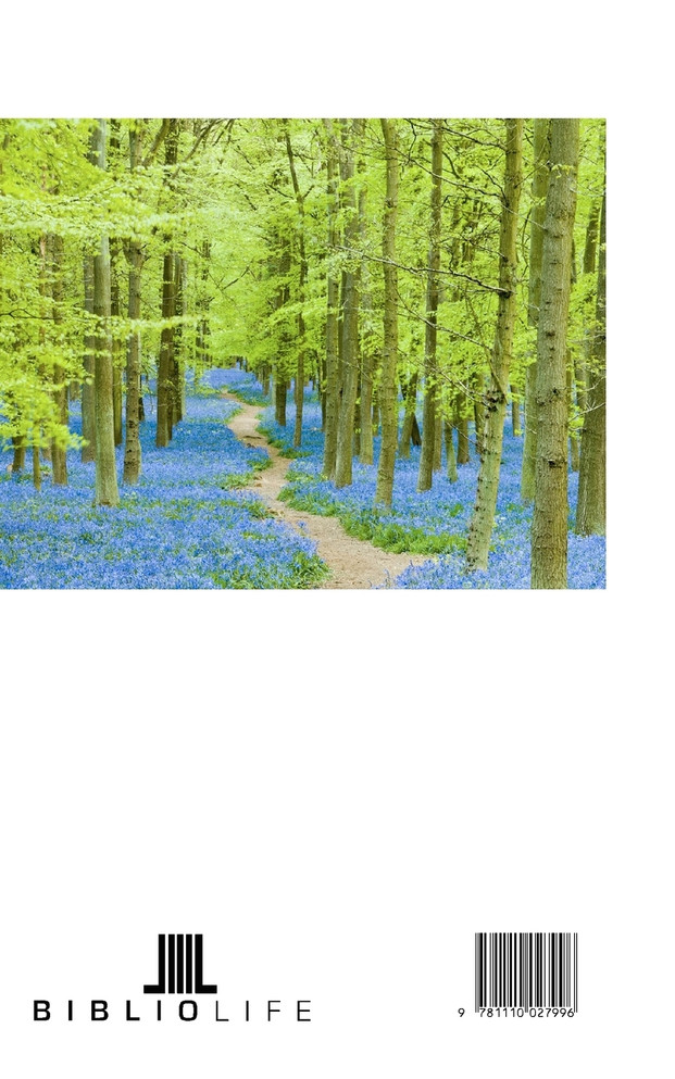 Die consonantische Deklination in den Germanischen Sprachen