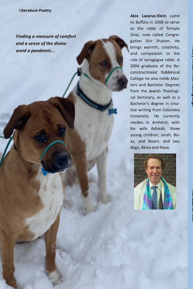 Poetry Written While Walking Dogs