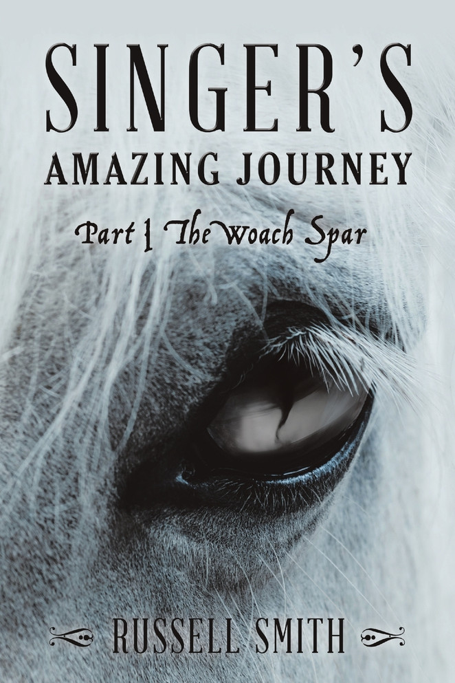 Singer's Amazing Journey