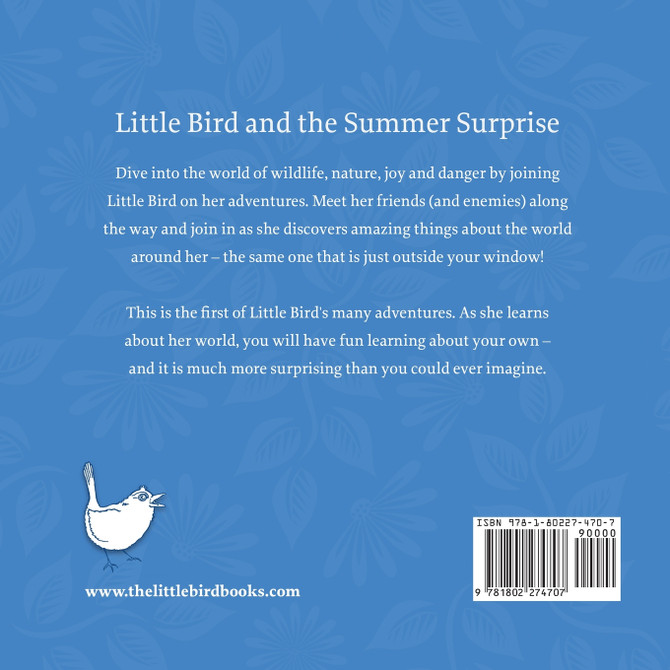 Little Bird and the Summer Surprise