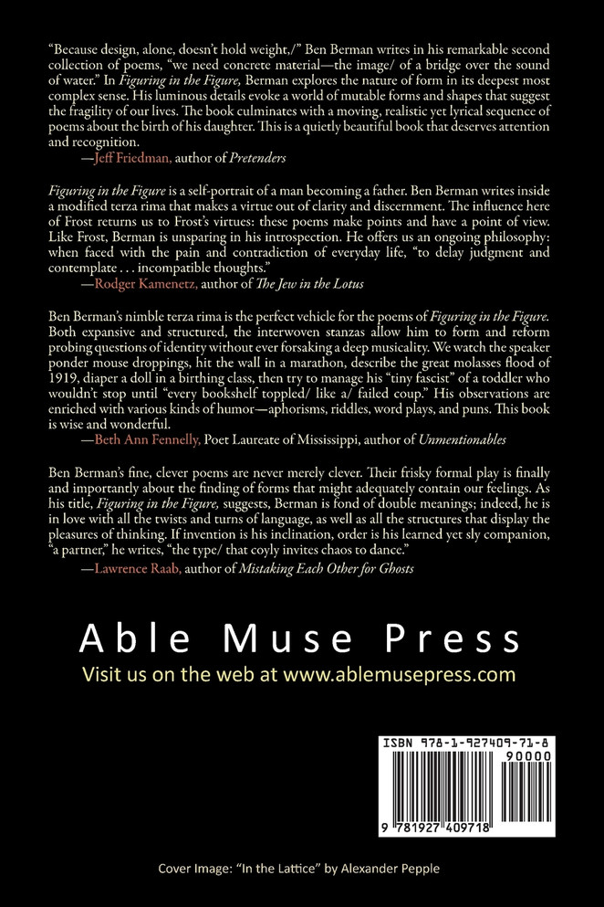 Figuring in the Figure