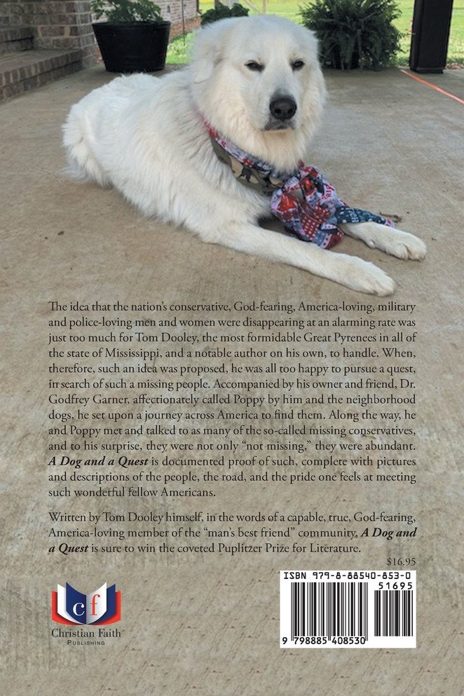 A Dog and a Quest
