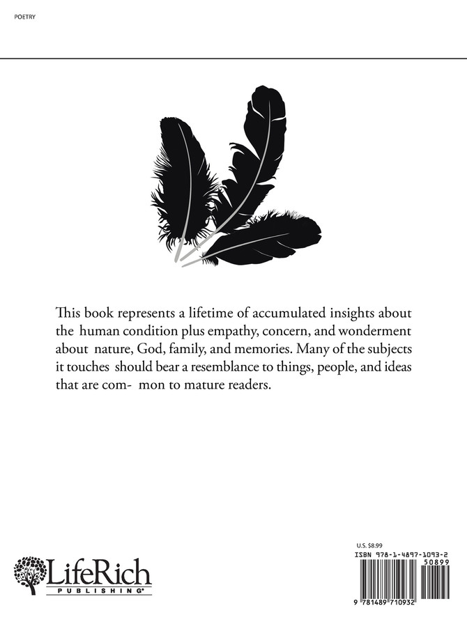 Three Black Feathers