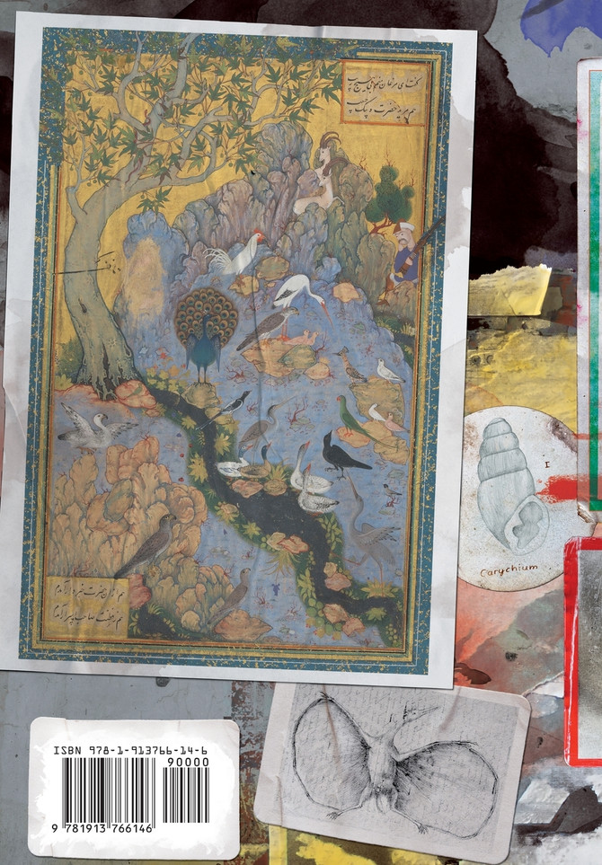 The Universe as Performance Art