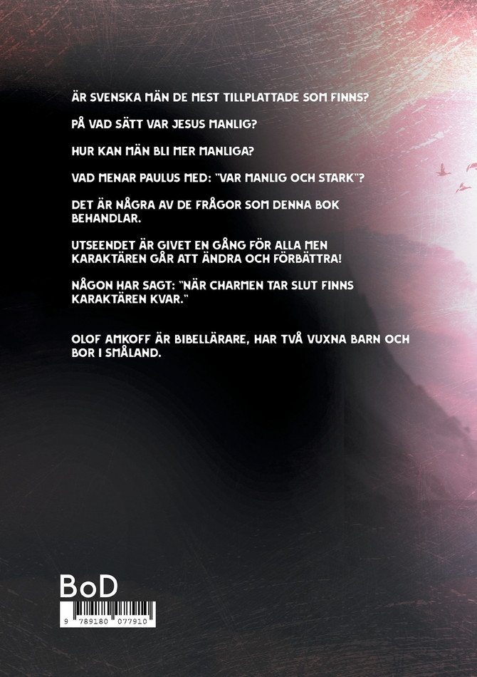 Vad är sann manlighet?