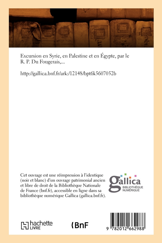 Excursion en Syrie, en Palestine et en Égypte, (Éd.1874)