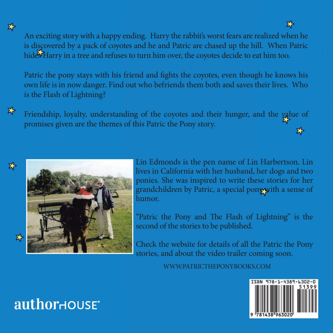 Patric the Pony and the Flash of Lightning