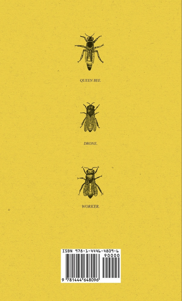 The Practical Bee-Keeper; Or, Concise And Plain Instructions For The Management Of Bees And Hives