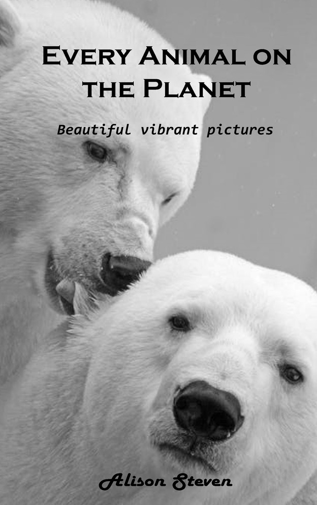 Every Animal on the Planet