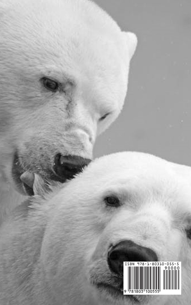 Every Animal on the Planet