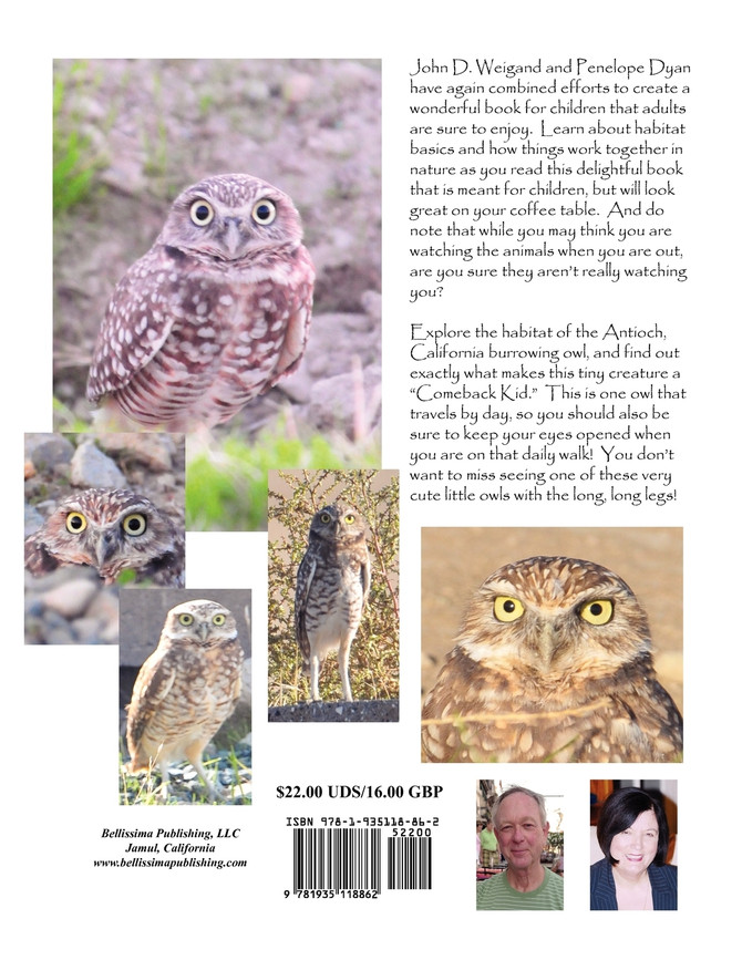 The Comeback Kids, Book 8, the Antioch Burrowing Owl