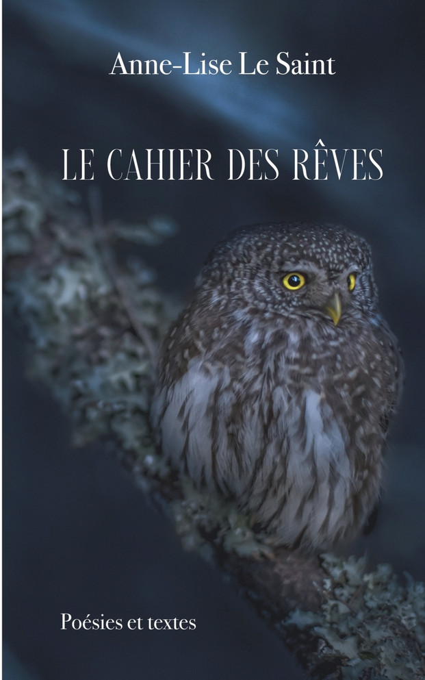 Le cahier des rêves