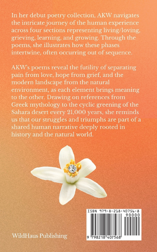 Orange Blossom Daydreams