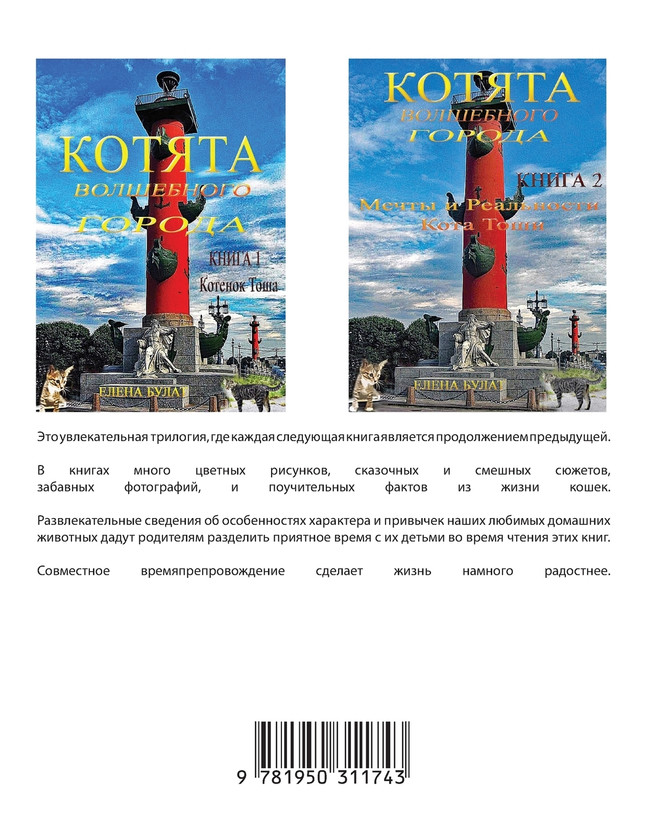 Котята Волшебного Города. Дружба. Тоша и Брэйк