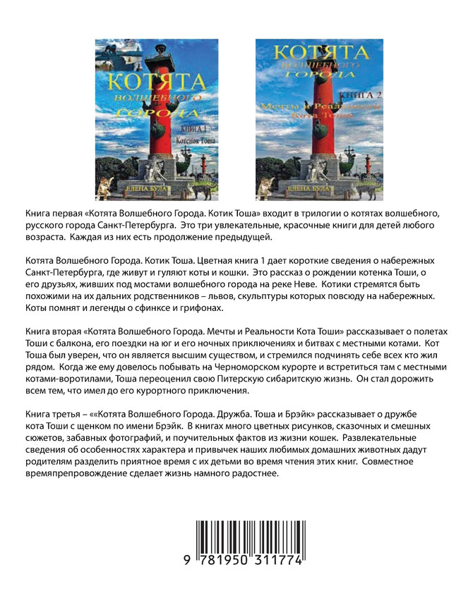 Котята Волшебного Города. Книга 3