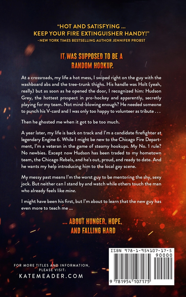 Down in Flames (a Hot in Chicago Rookies Novel)