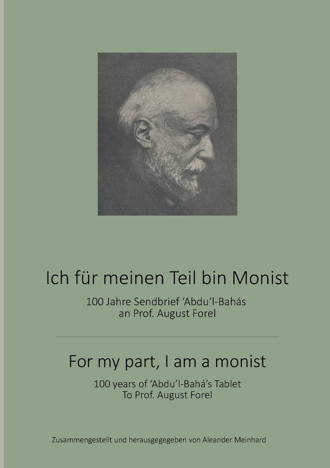 Ich für meinen Teil bin Monist