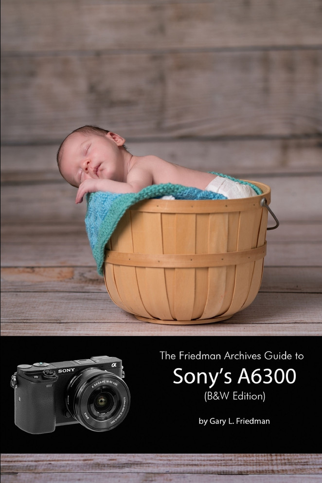 The Friedman Archives Guide to Sony's A6300 (B&W Edition)