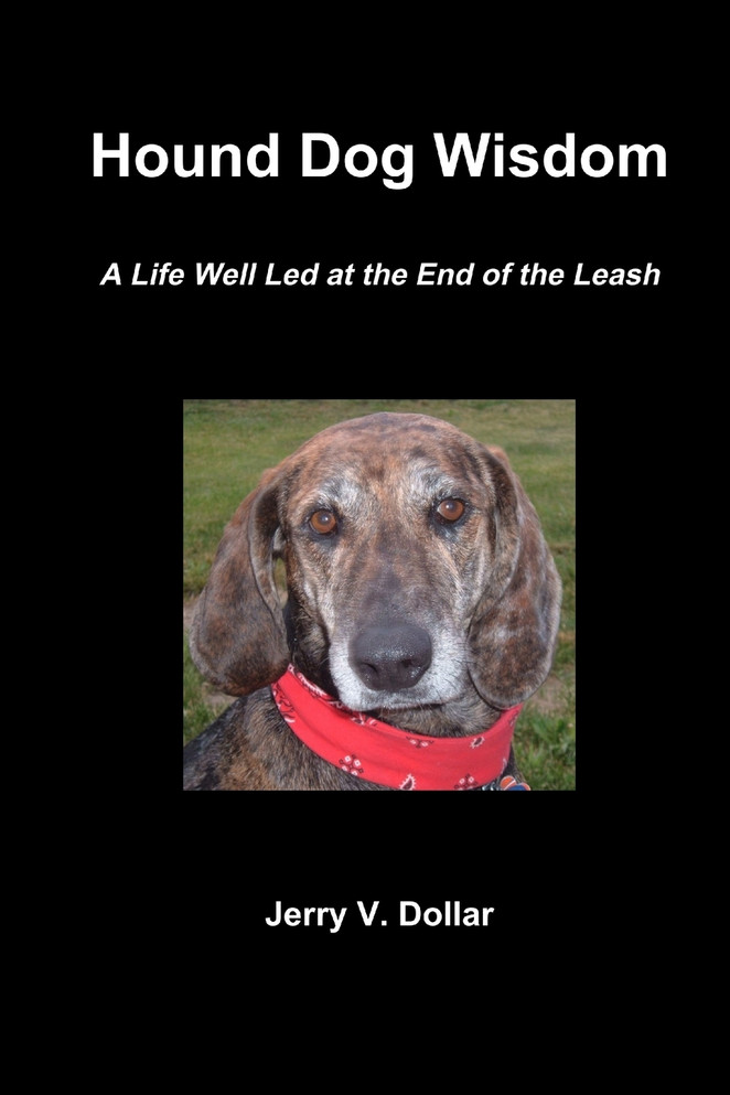 Hound Dog Wisdom