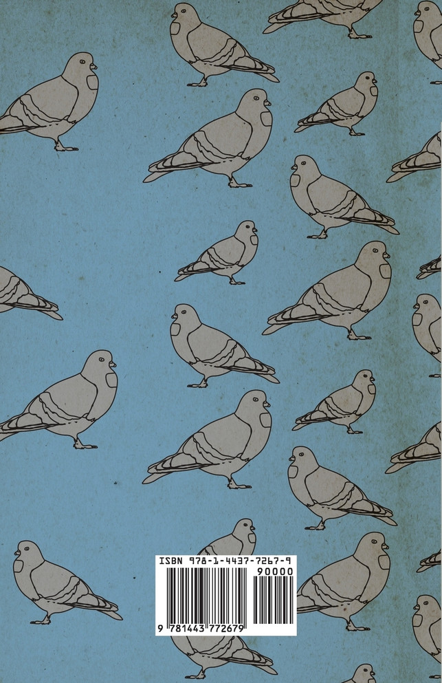 Secrets of Long-Distance Pigeon Racing