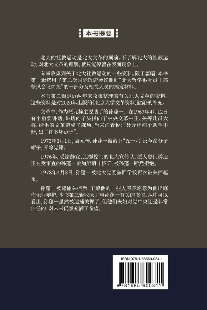 北京大学文革资料续编