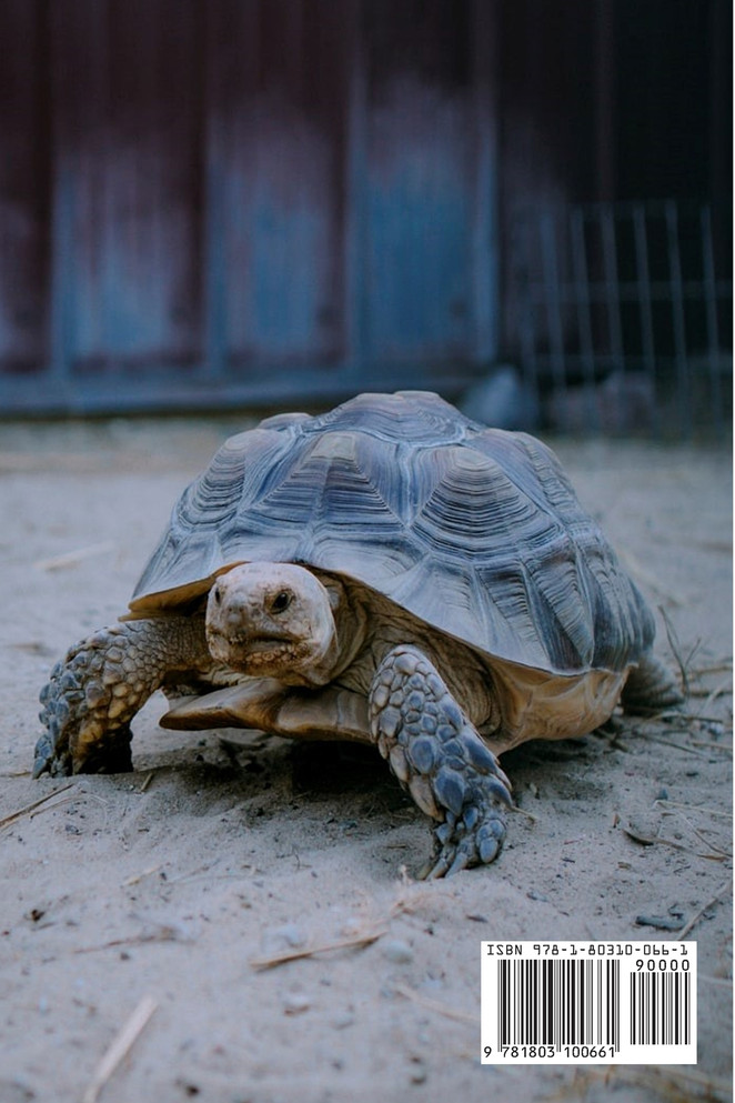 Animals around the World