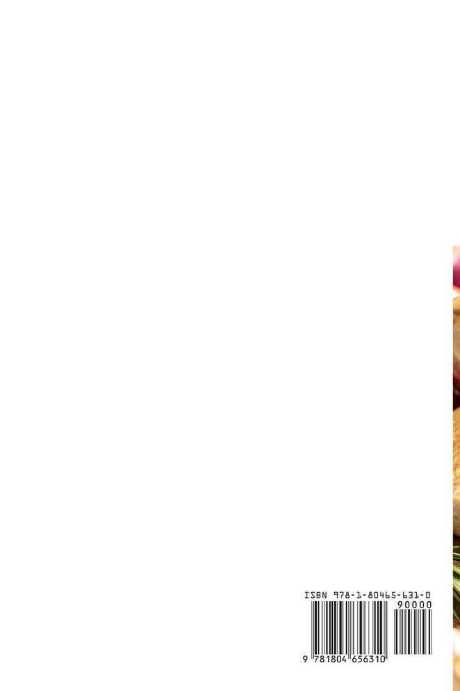 O LIVRO DE COZINHA DA CARNE DE CAÇA PARA INICIANTES